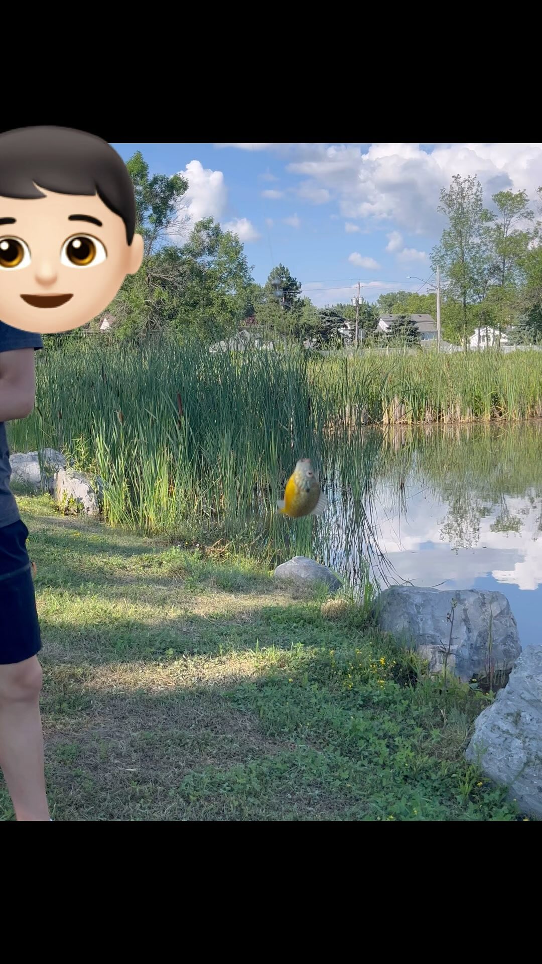 It was a beautiful day and went fishing 🎣 with my son. He’s a teenager and it’s so hard to have normal conversations with him but we can communicate through fishing as his language now. A beautiful day!🐟
#fishing #teenagerfishing #teenage #freshwaterfishing #pondfishing